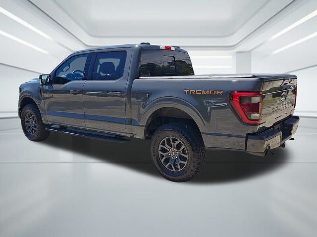 2021 Ford F-150 Tremor